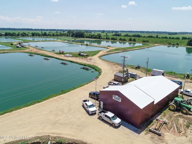 $2,180,800 | Fletcher Road, Isola, MS 38754