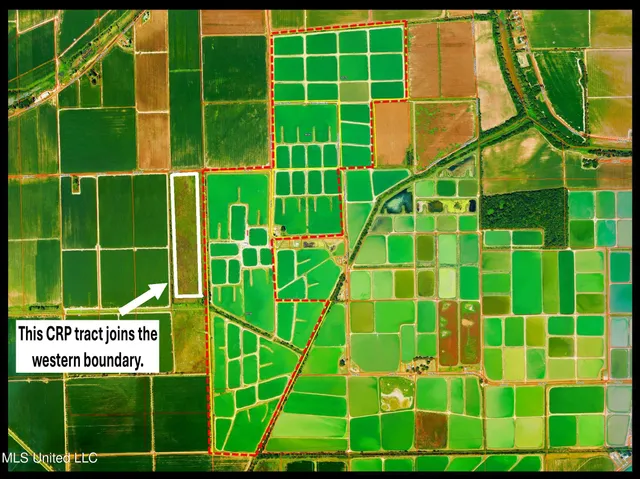 $2,180,800 | Fletcher Road, Isola, MS 38754