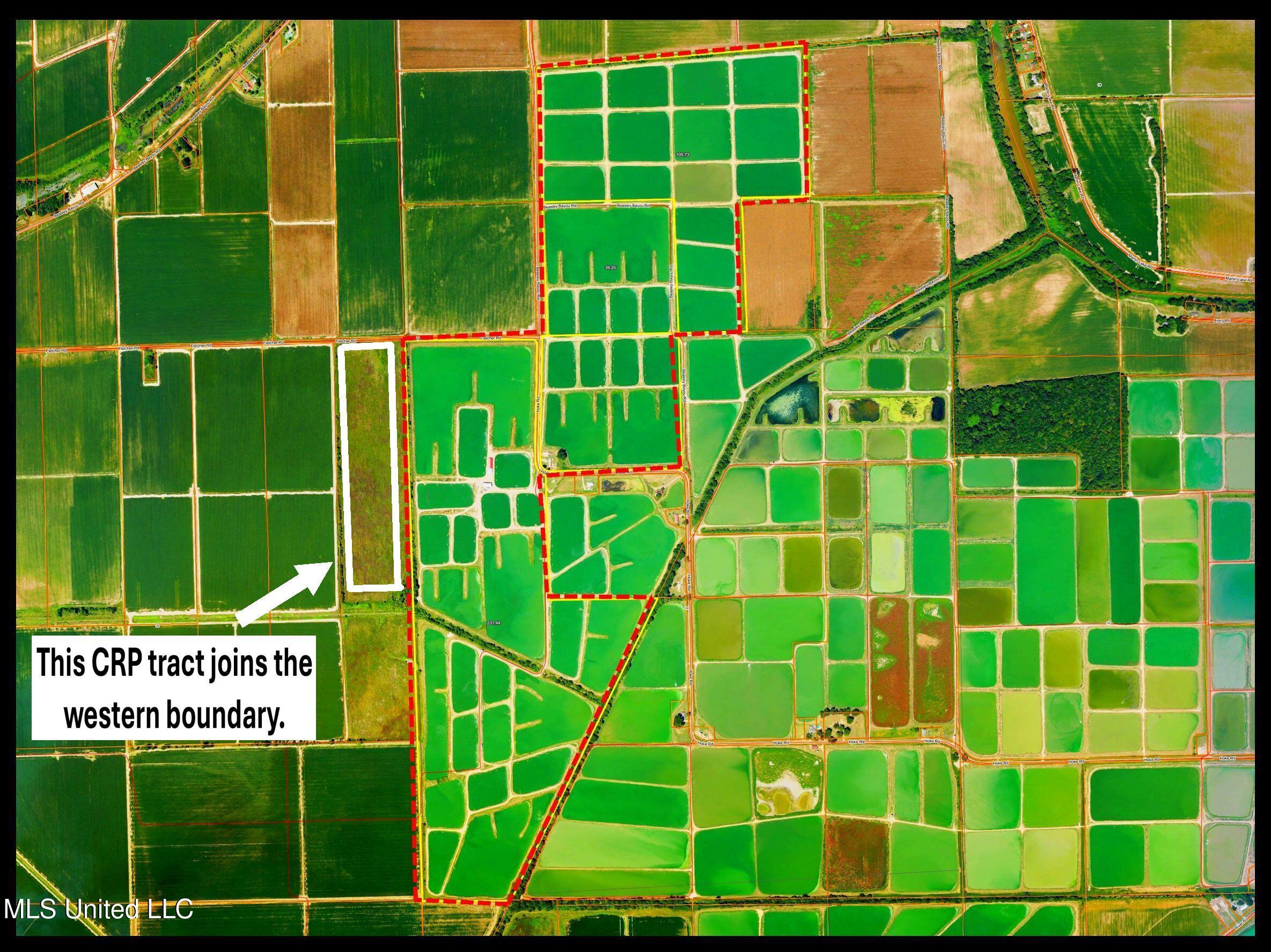 Fletcher Road Isola, MS 38754 - Photo 5 of 70 1bslybyo7a