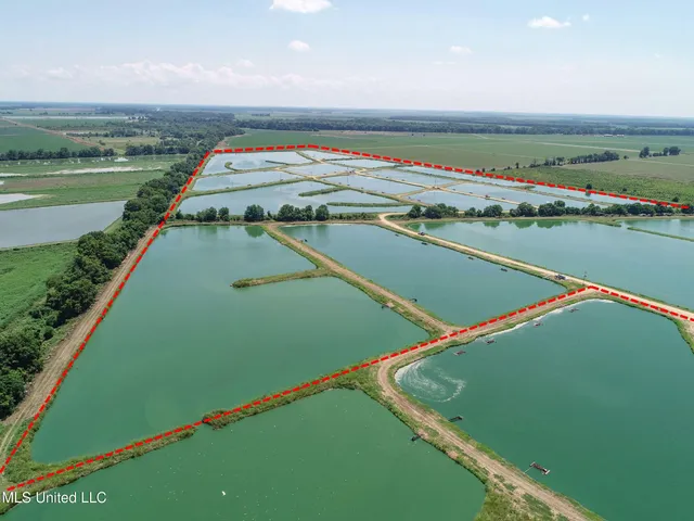 $2,180,800 | Fletcher Road, Isola, MS 38754