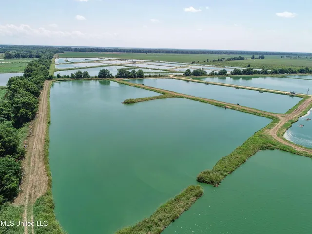 $2,180,800 | Fletcher Road, Isola, MS 38754