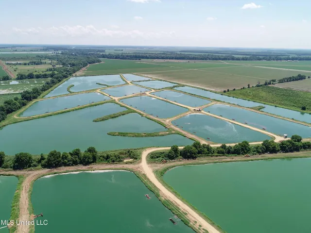 $2,180,800 | Fletcher Road, Isola, MS 38754