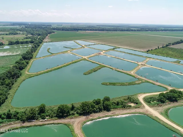 $2,180,800 | Fletcher Road, Isola, MS 38754