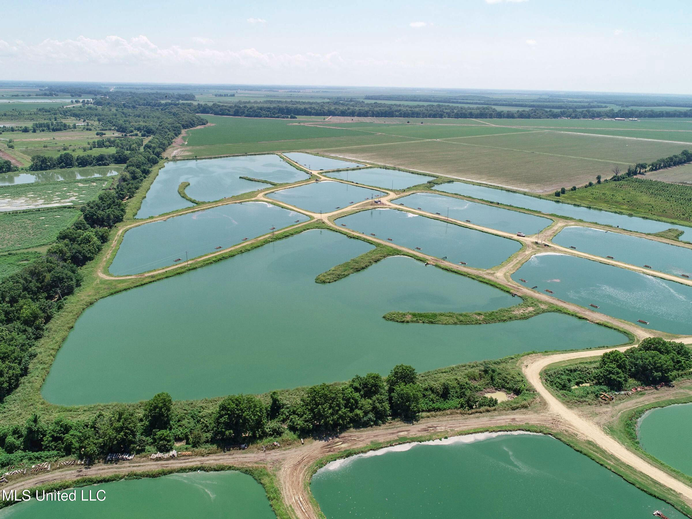 Fletcher Road Isola, MS 38754 - Photo 56 of 70 4bslybyo49