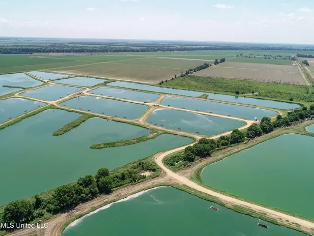 $2,180,800 | Fletcher Road, Isola, MS 38754