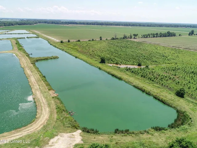 $2,180,800 | Fletcher Road, Isola, MS 38754