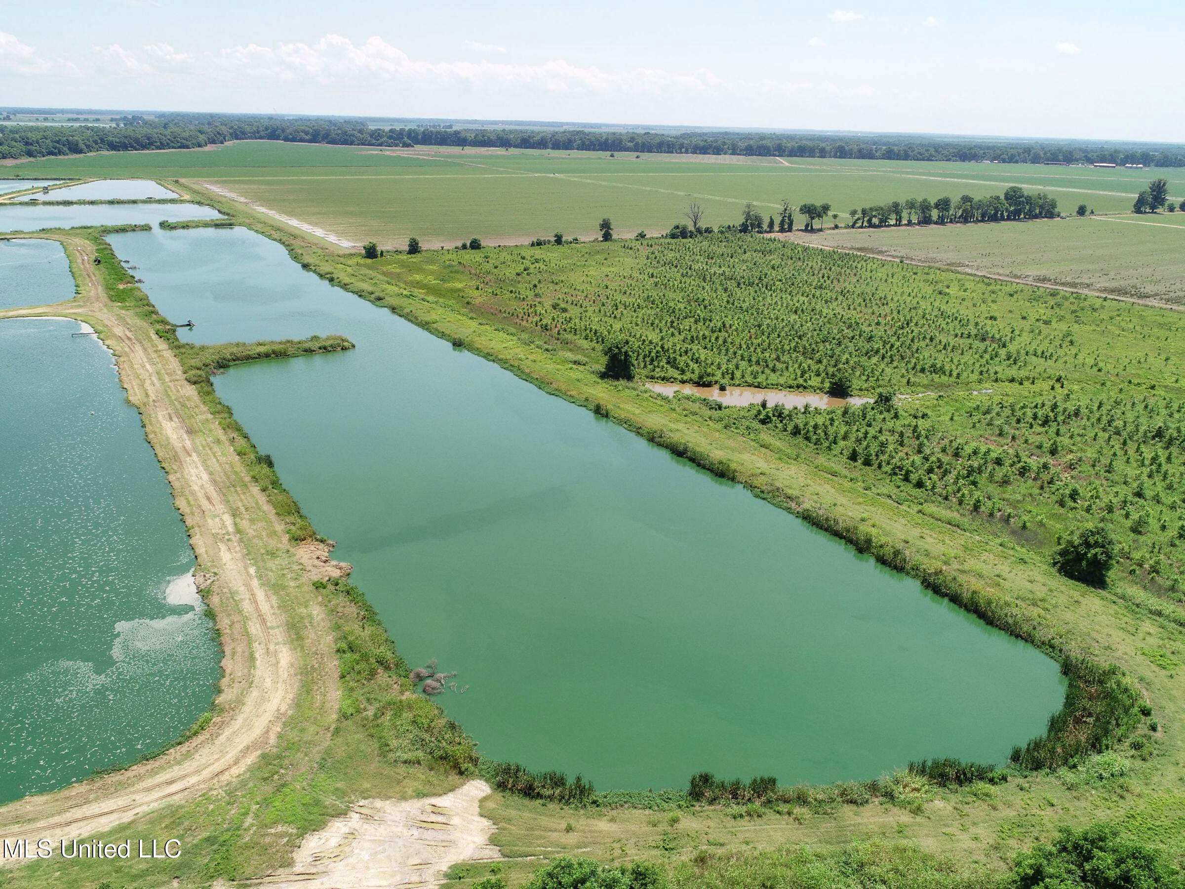 Fletcher Road Isola, MS 38754 - Photo 59 of 70 4bslybyo52