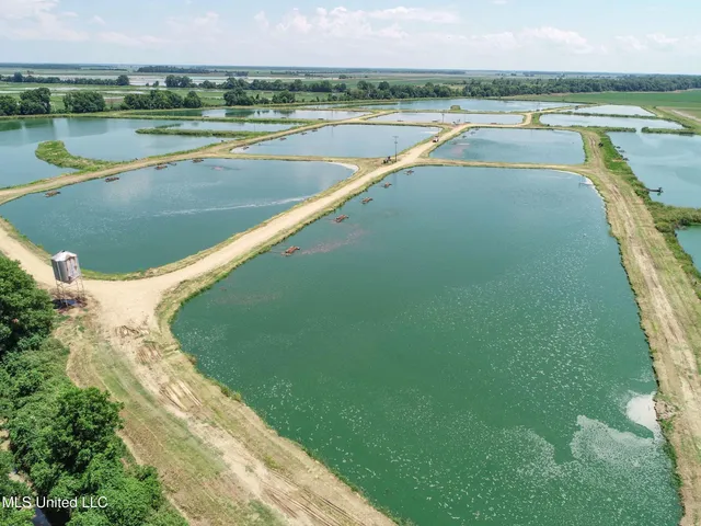 $2,180,800 | Fletcher Road, Isola, MS 38754