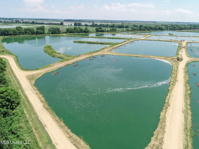 $2,180,800 | Fletcher Road, Isola, MS 38754