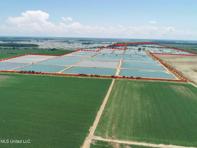 $2,180,800 | Fletcher Road, Isola, MS 38754