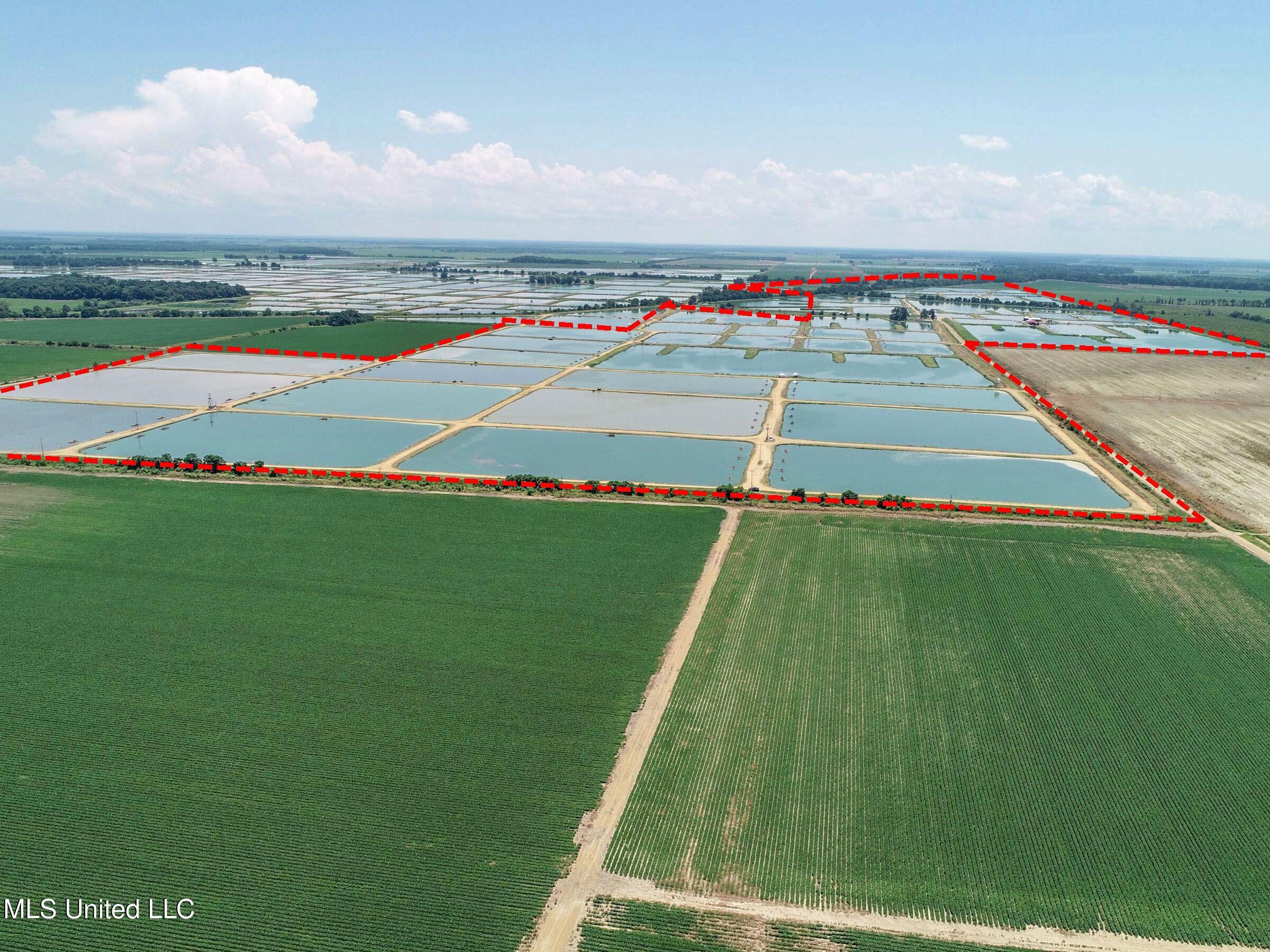 Fletcher Road Isola, MS 38754 - Photo 8 of 70 4bslybyo1b