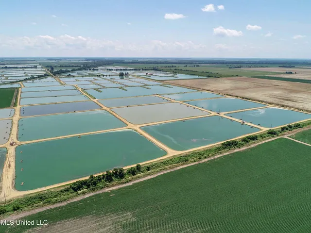 $2,180,800 | Fletcher Road, Isola, MS 38754