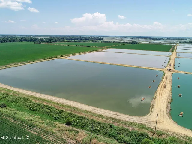 $2,180,800 | Fletcher Road, Isola, MS 38754