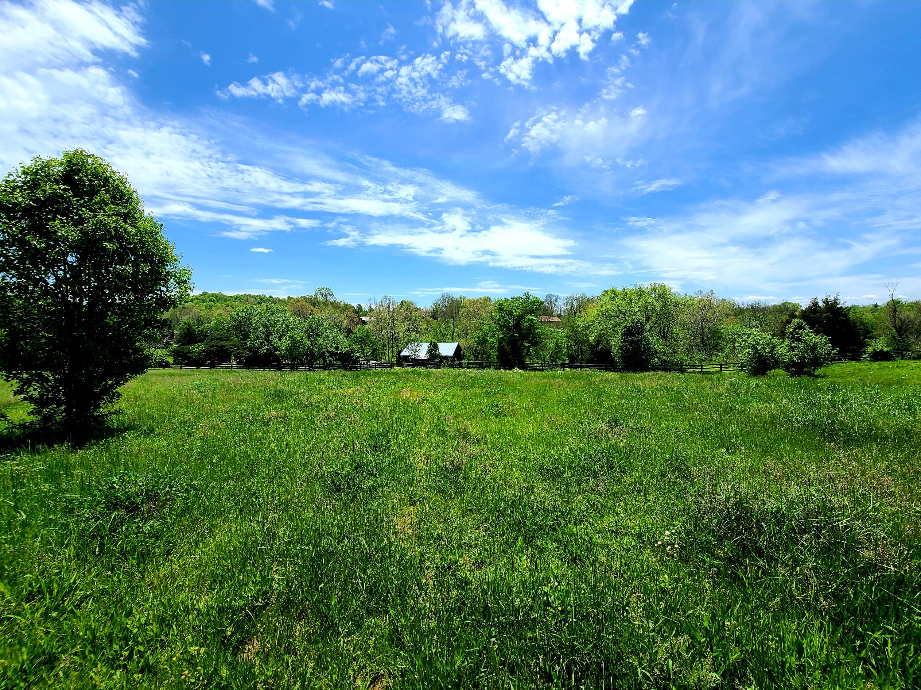 1436 Elm Fork Road Nicholasville, KY 40356 - Photo 13 of 33 20210506_133544