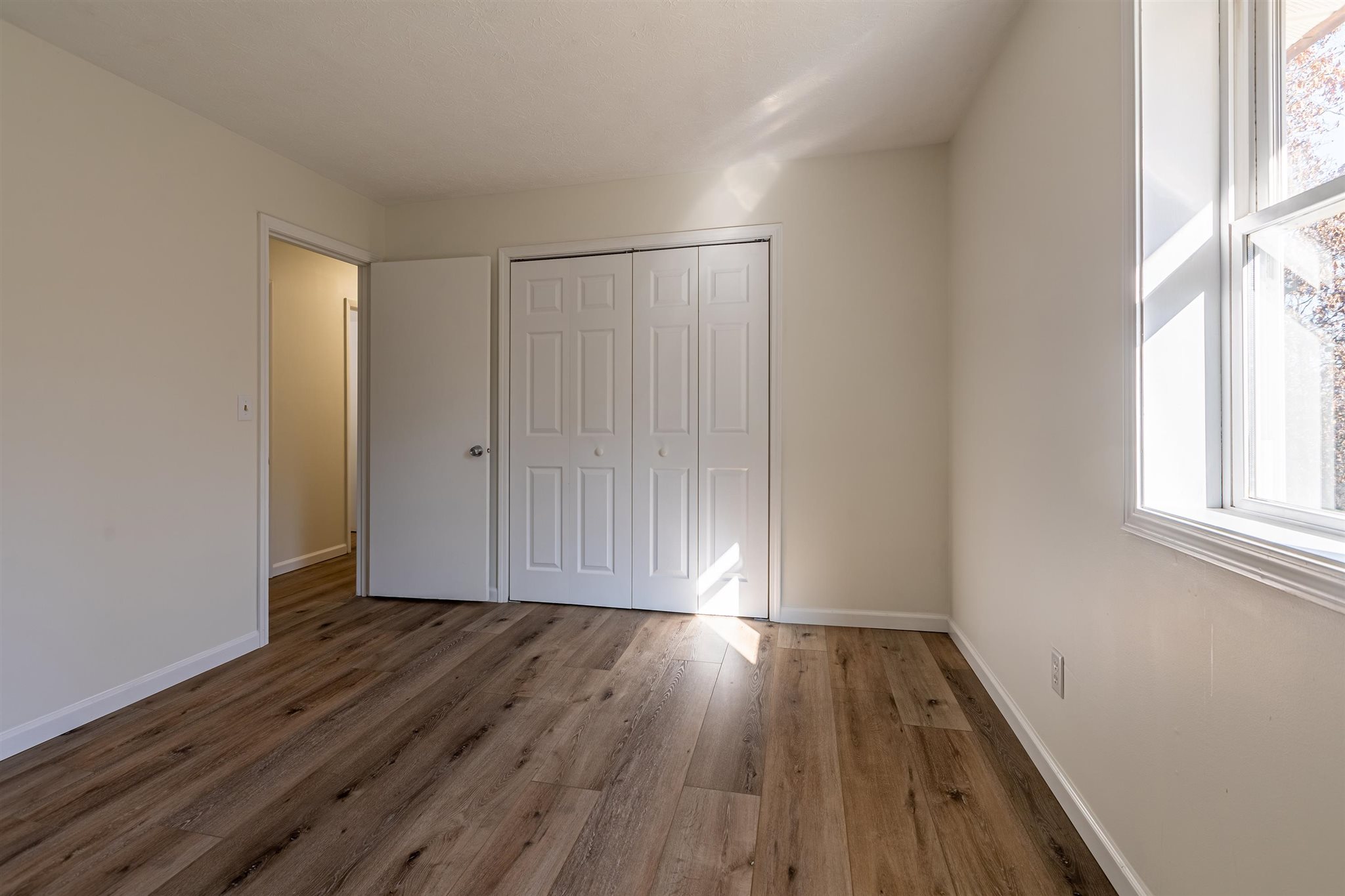 12069 Pebble Point Road Marion, IL 62959 - Photo 16 of 42 Gallery Image 16