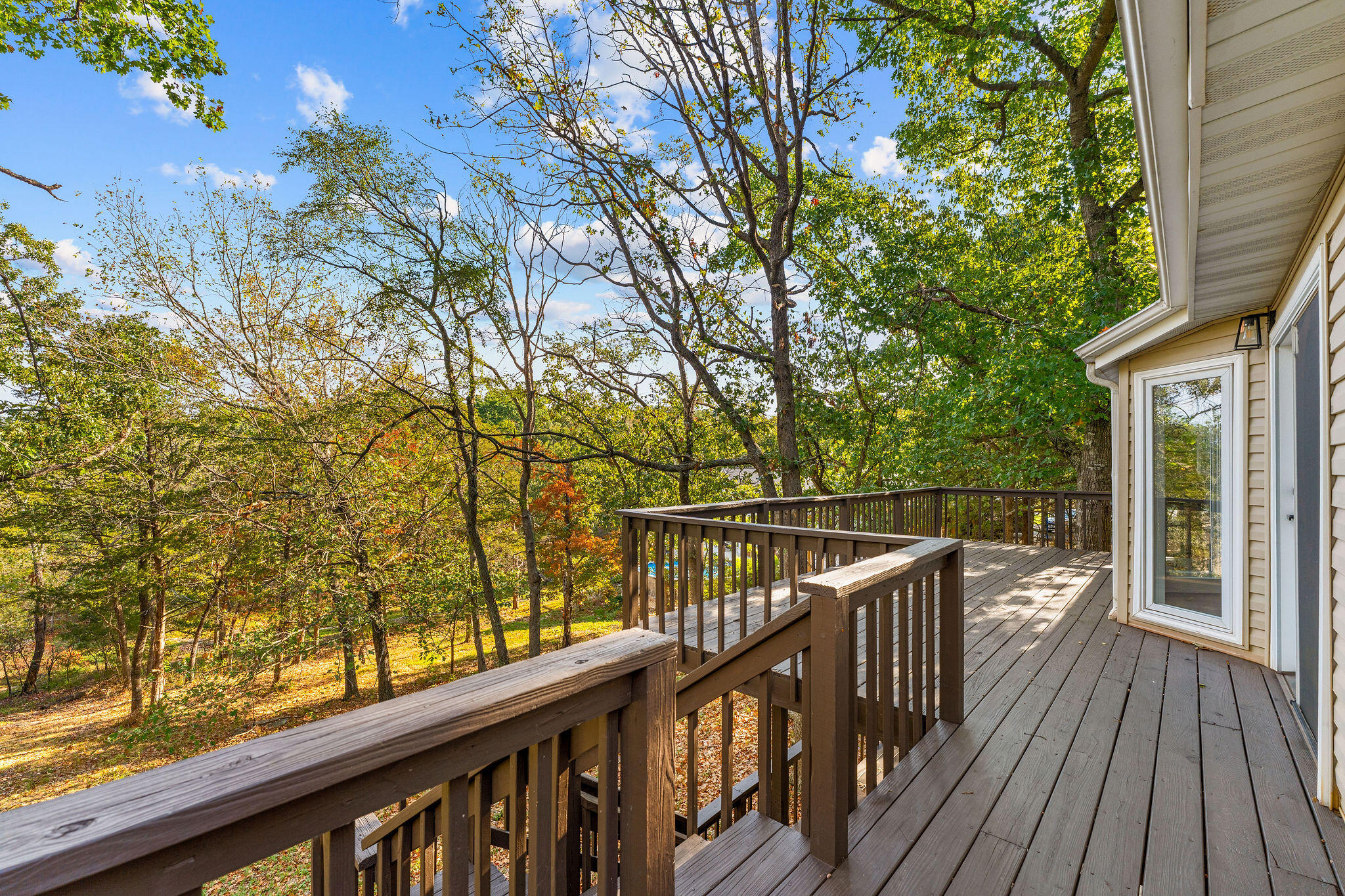 144 Santana Circle Reeds Spring, MO 65737 - Photo 41 of 51 SDD01223
