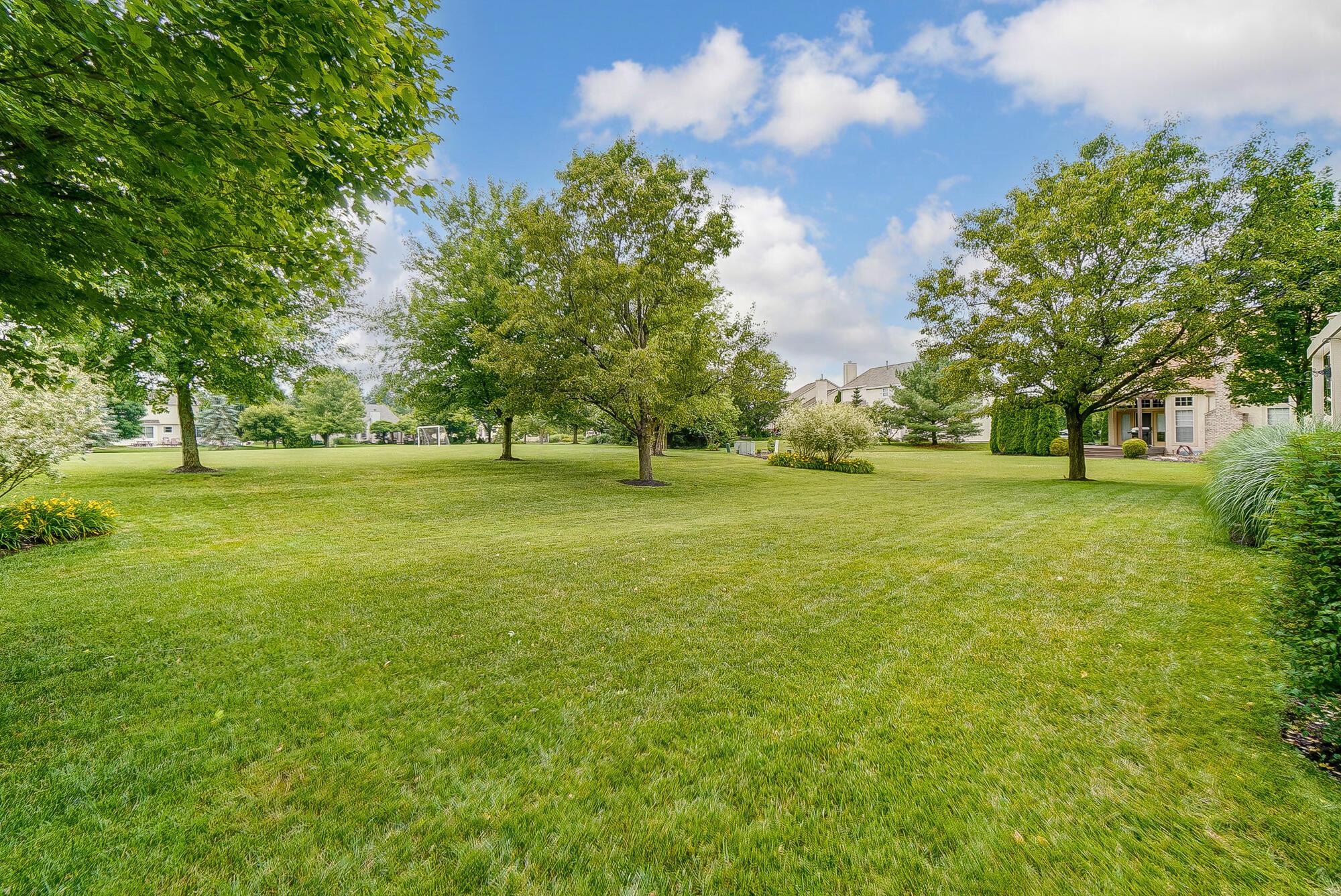 5674 Steward Road Galena, OH 43021 - Photo 69 of 82 Backyard