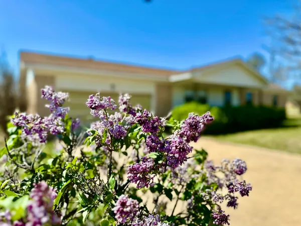 $115,000 | 700 South Bowie Avenue, Tulia, TX 79088