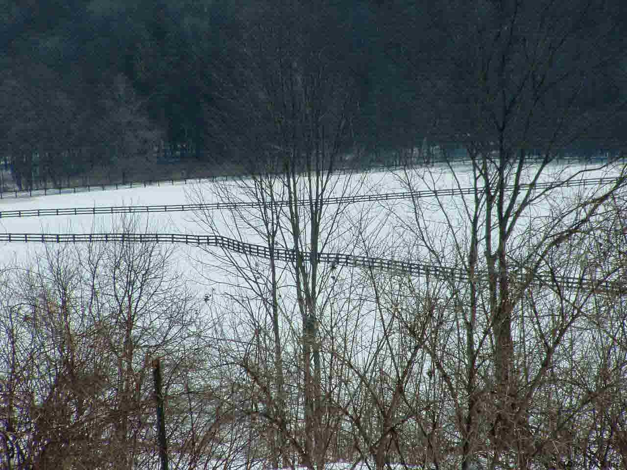 475 Clark Road Gansevoort, NY 12831 - Photo 4 of 12 Photo 4