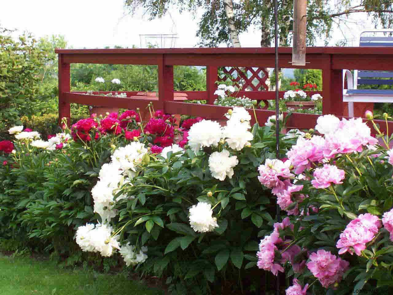 475 Clark Road Gansevoort, NY 12831 - Photo 10 of 12 Photo 10