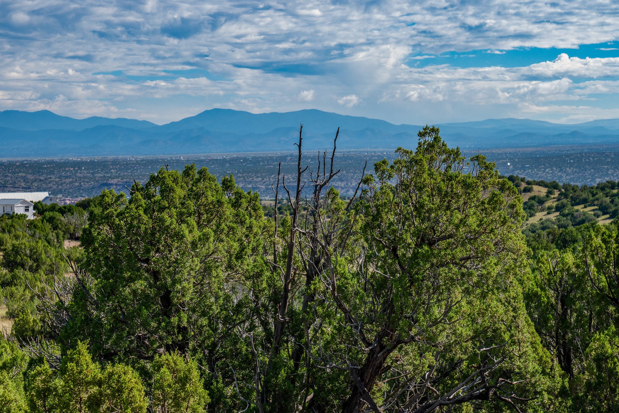 95 Grenfell Ranch Road Cerrillos, NM 87010 - Photo 39 of 47