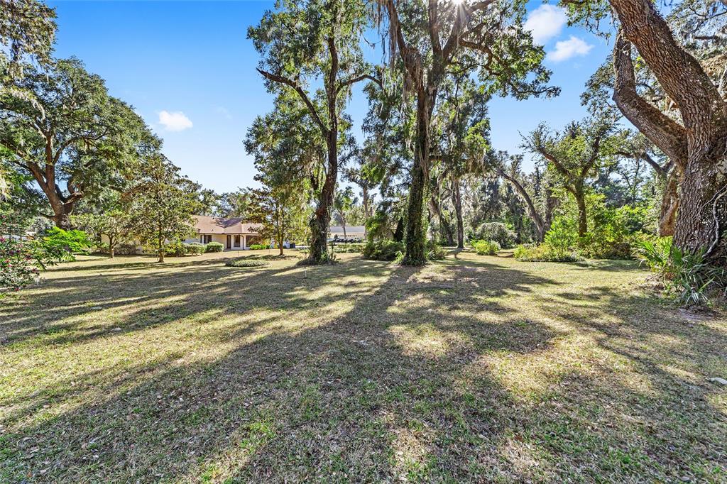 3590 Southwest 24th Avenue Road Ocala, FL 34471 - Photo 53 of 76 Native trees are a lot more resistant to weather.