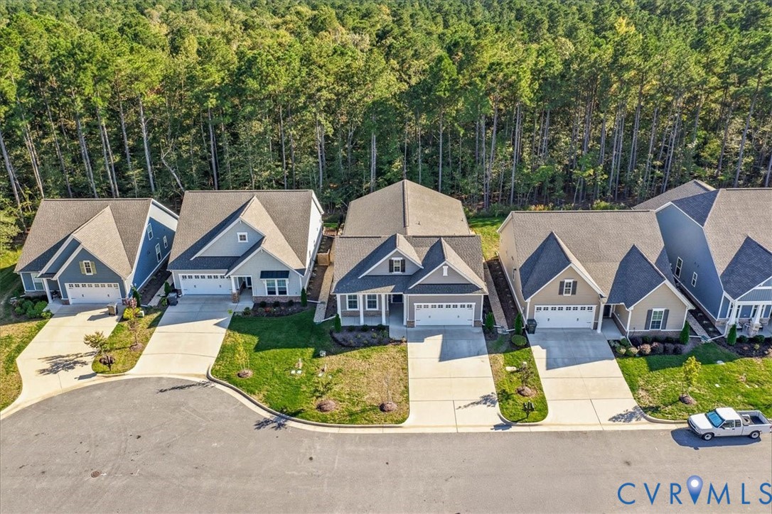 1813 Twin Rivers Court Chester, VA 23836 - Photo 2 of 33 The aerial view shows the wooded space behind the
