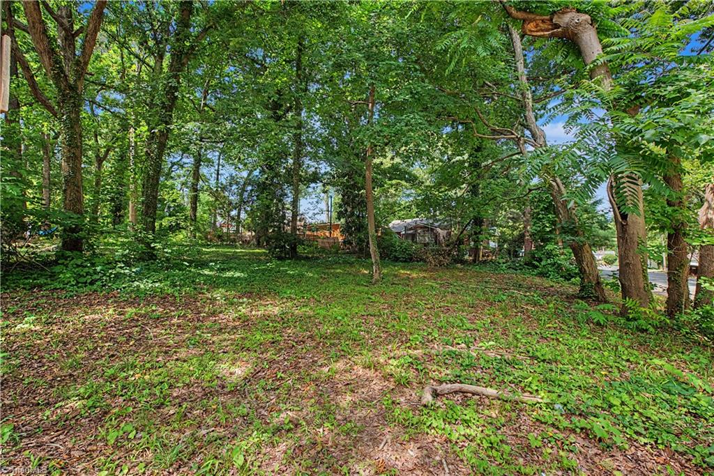 419 Hobson Street High Point, NC 27260 - Photo 7 of 8