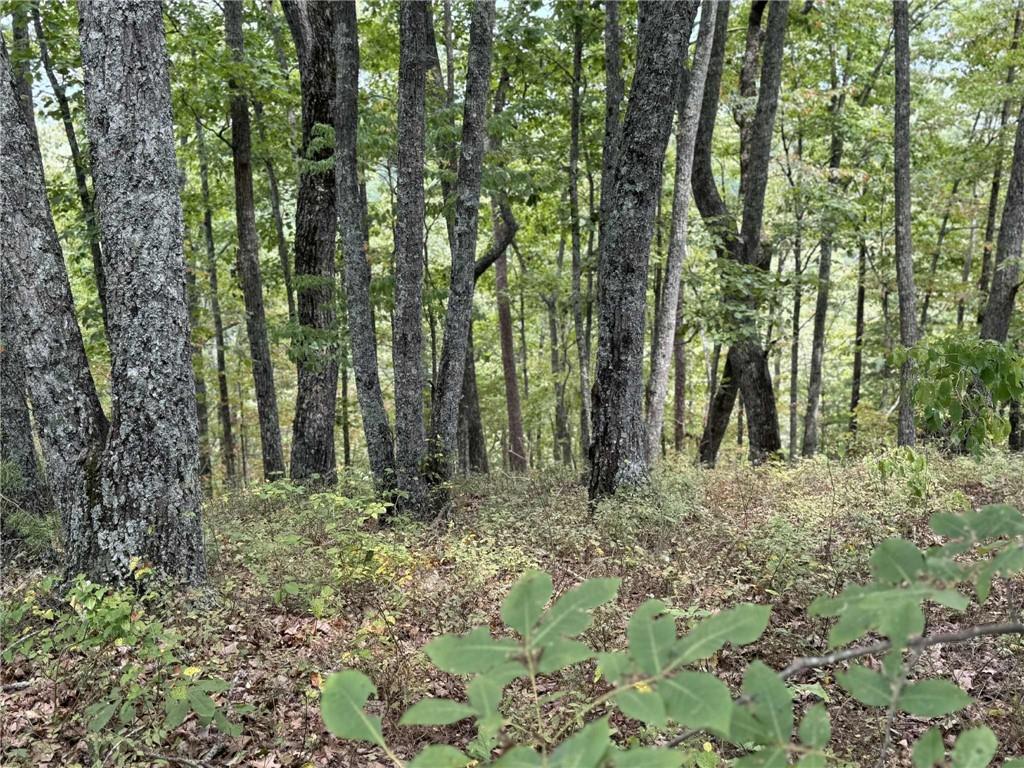 1417 Foxhound Trail Northeast Ranger, GA 30734 - Photo 6 of 21