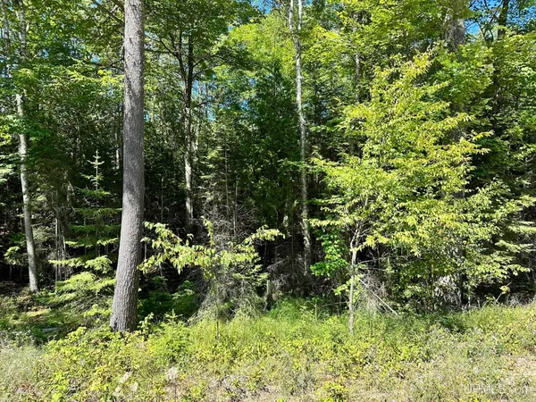 $59,000 | Tbd Hemlock Views Trail, Unit LOT 21 & 22, Manistique, MI 49854