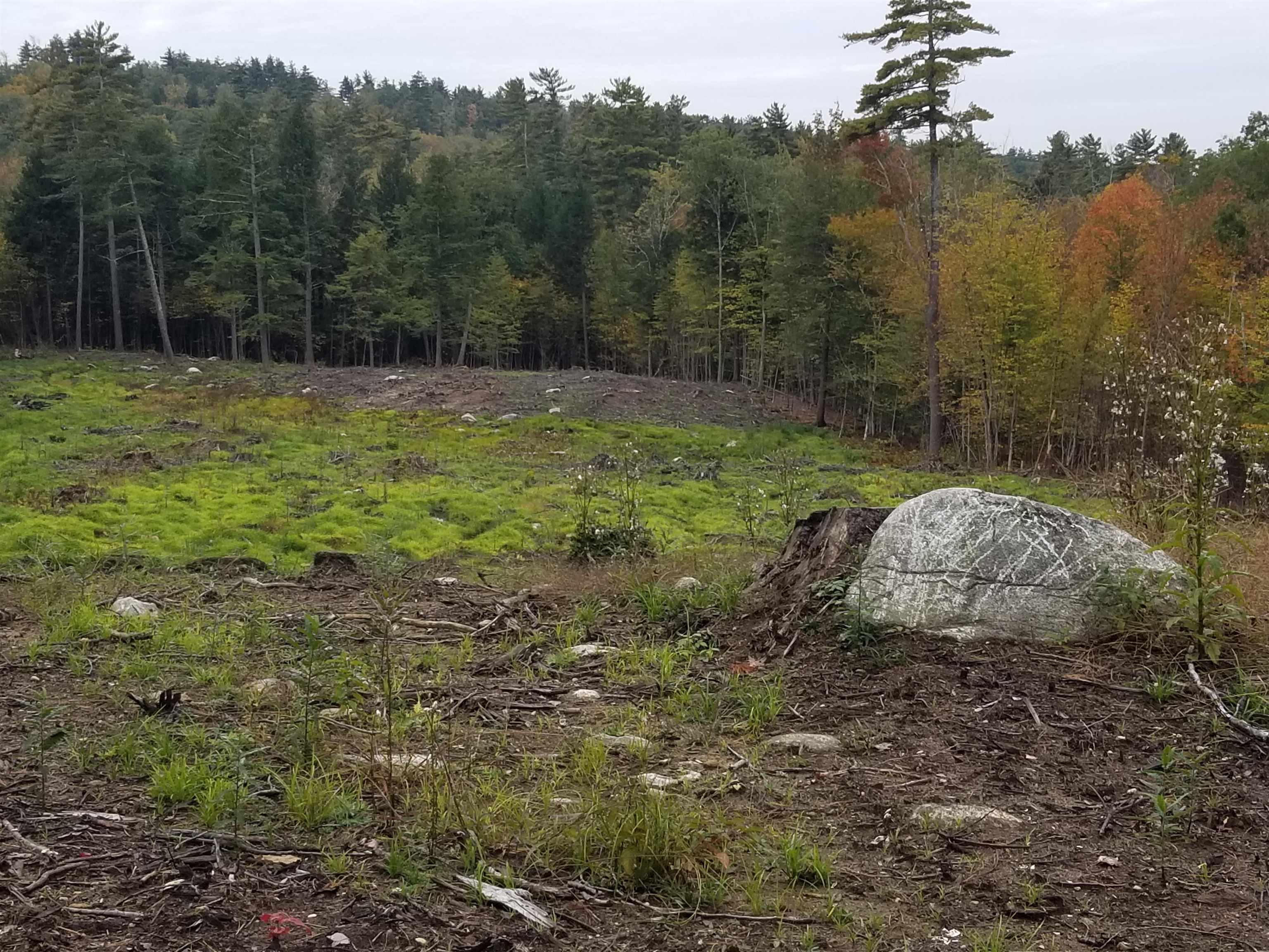 169 Center Harbor Neck Road Center Harbor, NH 03226 - Photo 5 of 6 Gallery Image 5