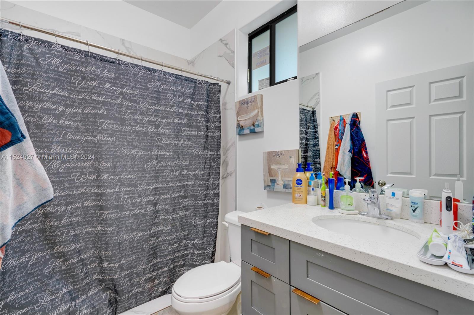 10129 West Jessamine Street Miami, FL 33157 - Photo 19 of 50 a bathroom with a sink vanity mirror and toilet
