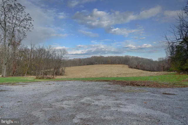 a view of a field with trees in background