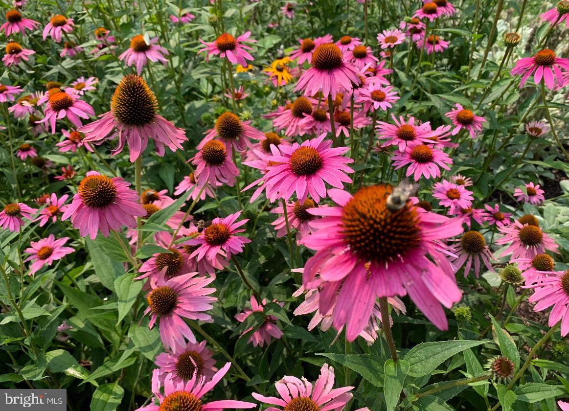 100 River Road Pipersville, PA 18947 - Photo 70 of 72