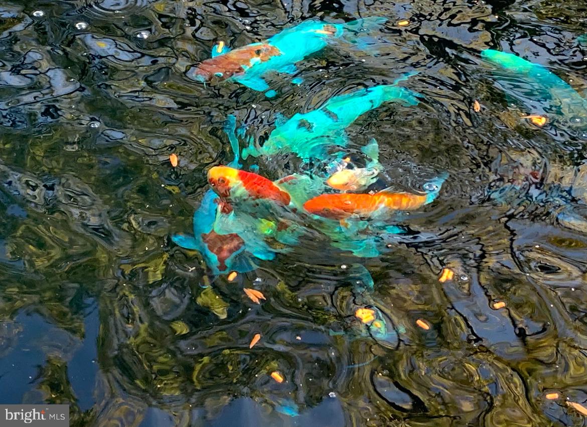 100 River Road Pipersville, PA 18947 - Photo 72 of 72