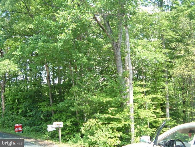 178 Doc Stone Road Stafford, VA 22556 - Photo 3 of 4 Exterior #3