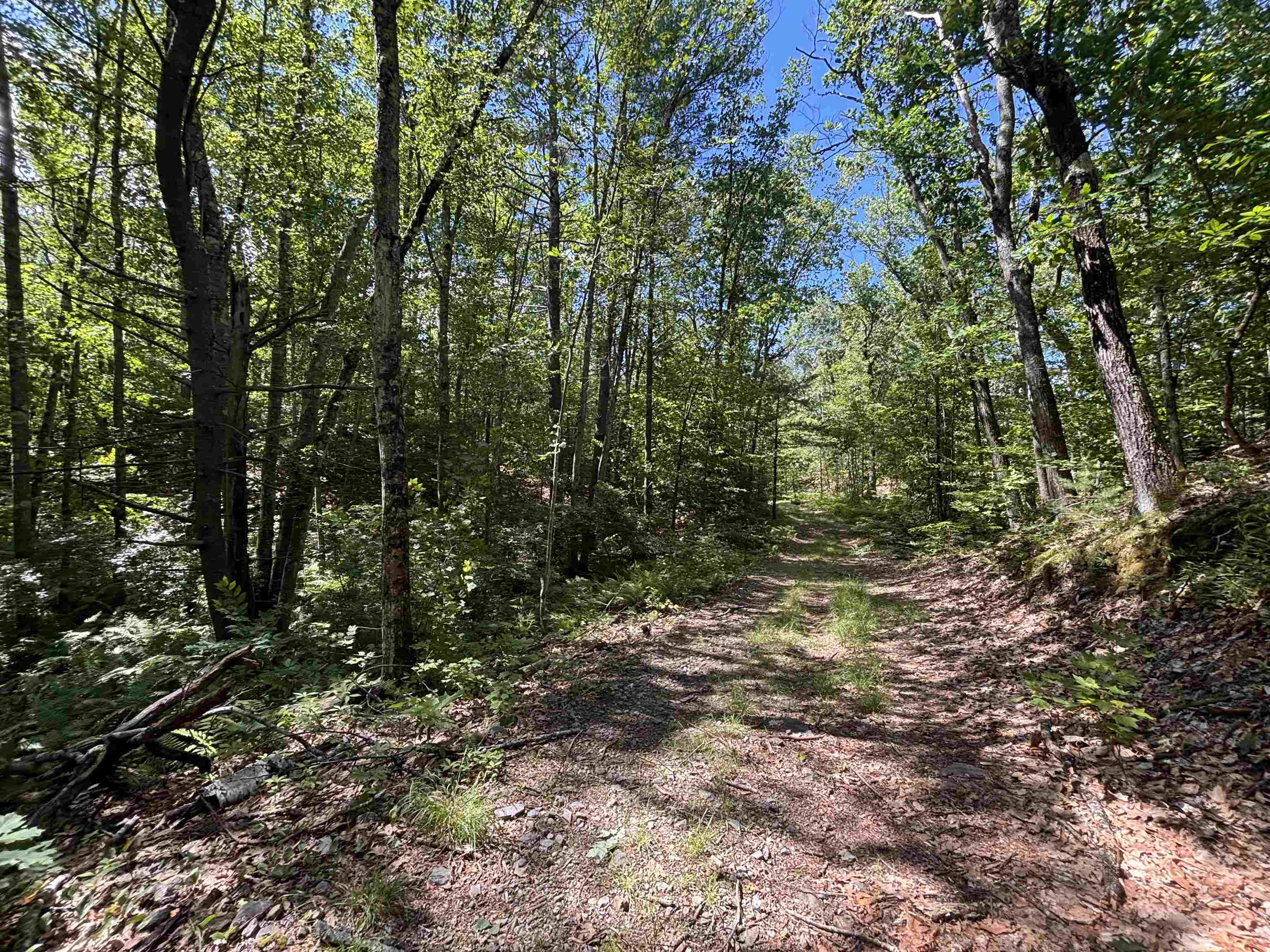 0 Windfall Road Northfield, NH 03276 - Photo 8 of 10