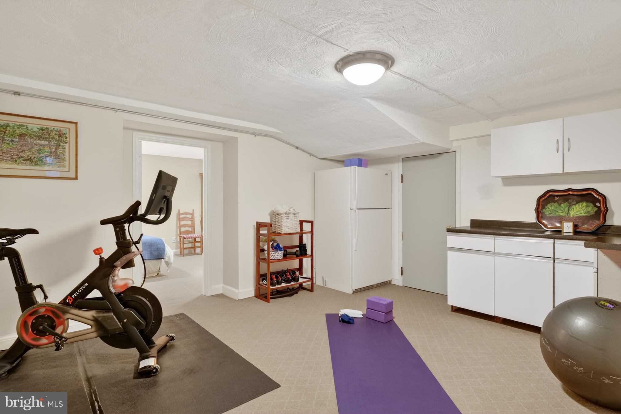 2238 47th Street Northwest Washington, DC 20007 - Photo 40 of 42 a view of a room with gym equipment