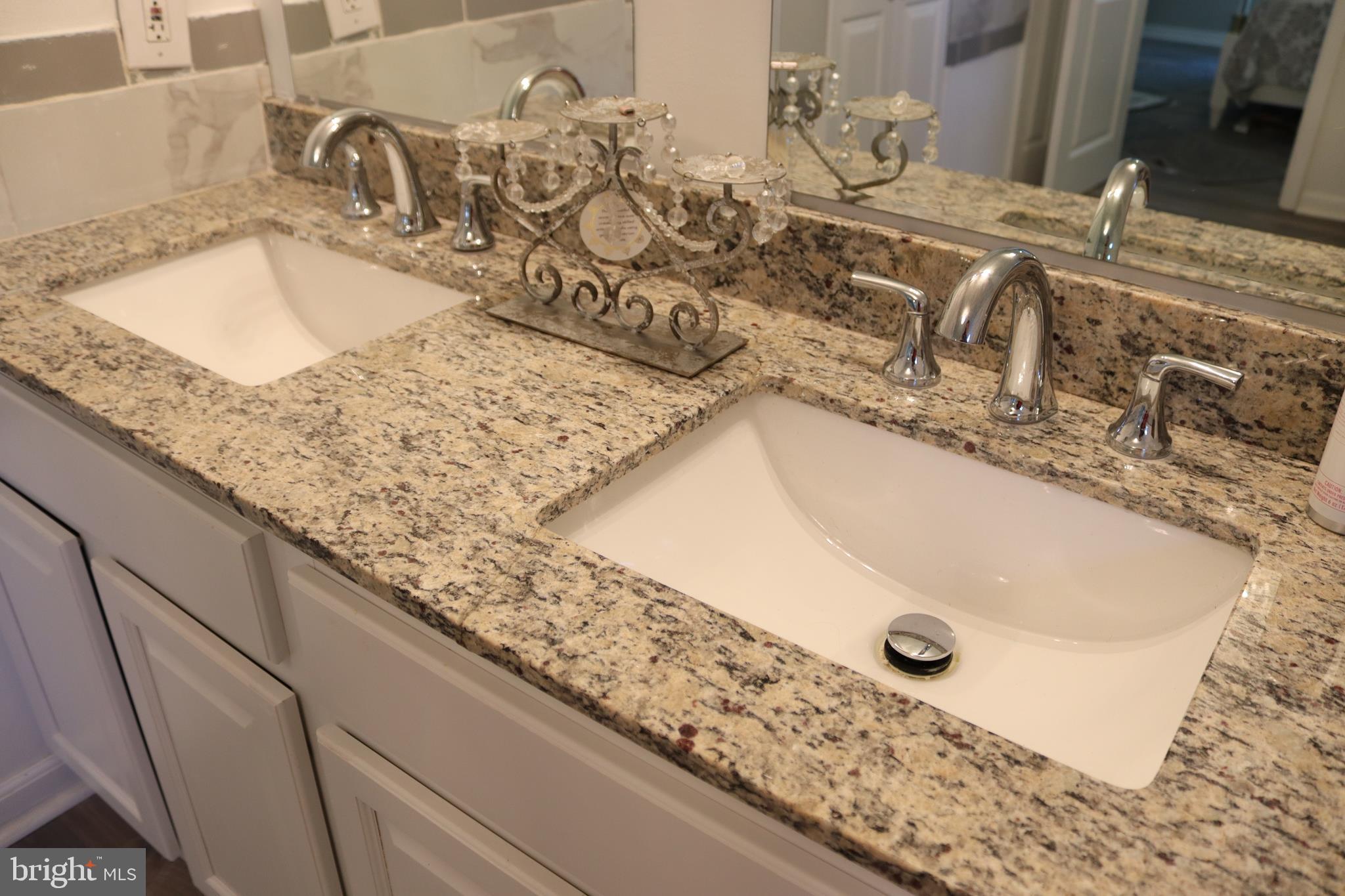 28452 Signboard Road Ruther Glen, VA 22546 - Photo 43 of 71 dual vanity