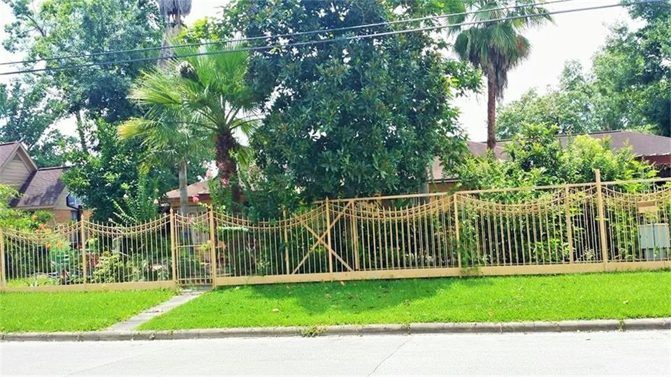 a view of a yard with a small trees