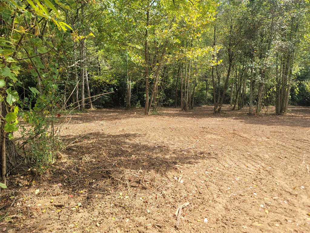 End Of Tanglewood Ridge Murphy, NC 28906 - Photo 26 of 38