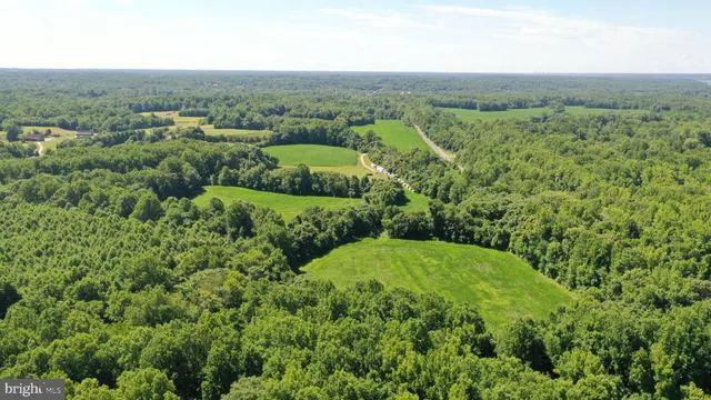 an aerial view of green landscape with trees houses and mountain view