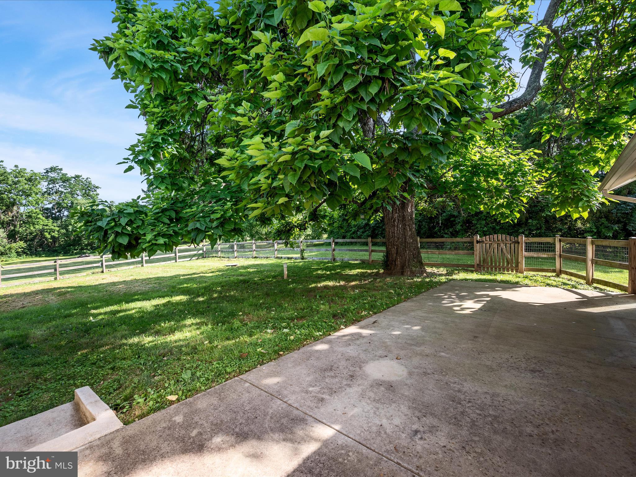 87 Old Waterloo Road Boyce, VA 22620 - Photo 57 of 76 a view of a yard with a large trees
