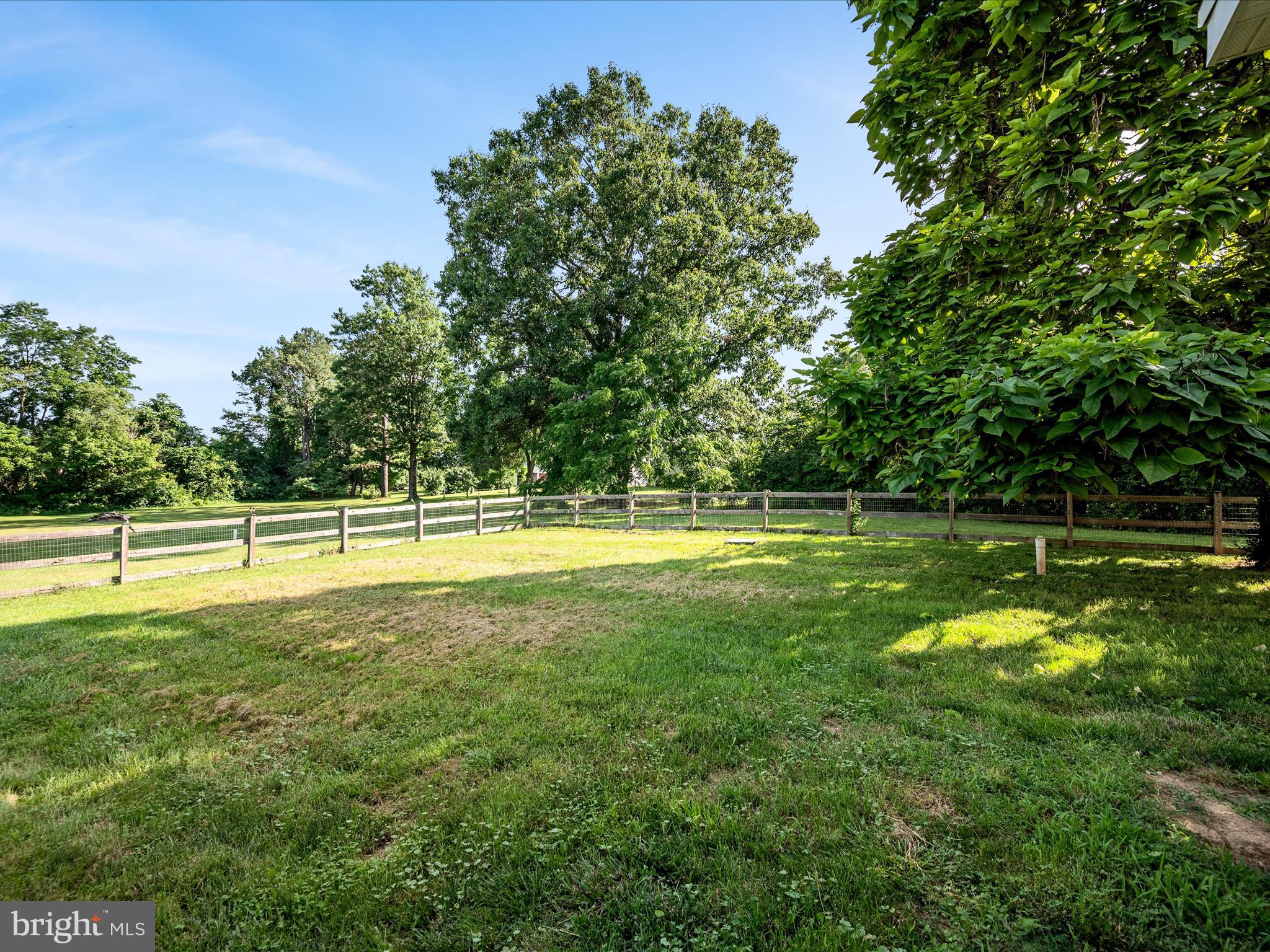 87 Old Waterloo Road Boyce, VA 22620 - Photo 60 of 76 a view of a swimming pool with a yard and large trees