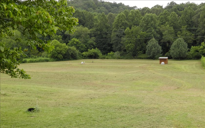 1124 Pine Log Road Warne, NC 28909 - Photo 1 of 4 Main View