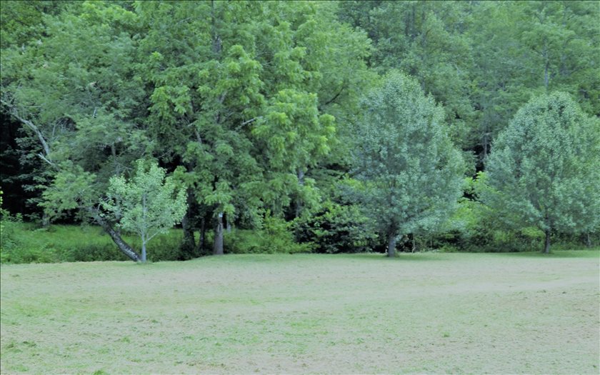 1124 Pine Log Road Warne, NC 28909 - Photo 3 of 4 Additional View