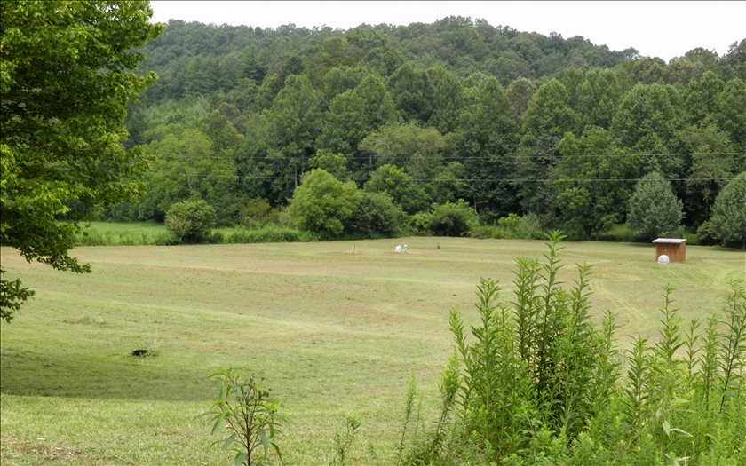 1124 Pine Log Road Warne, NC 28909 - Photo 4 of 4 Additional View