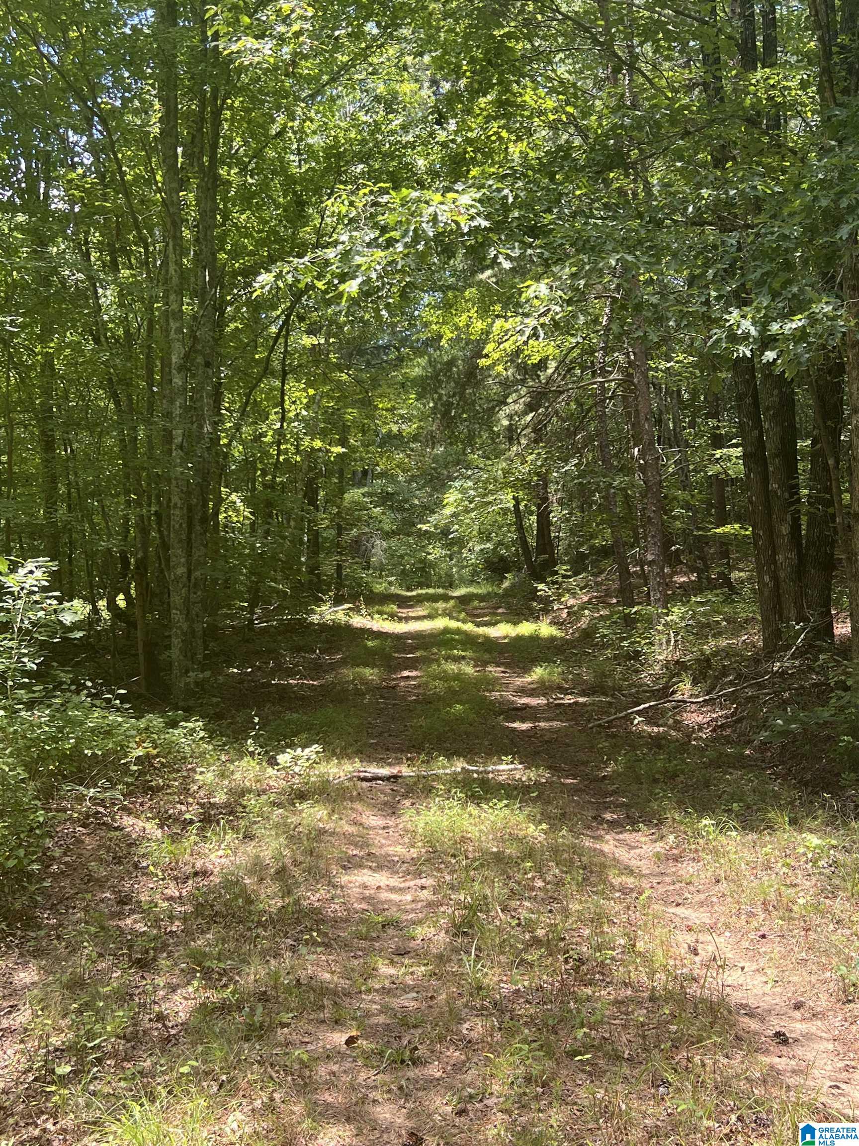 0 County Road 24, Unit 1 Springville, AL 35146 - Photo 2 of 8