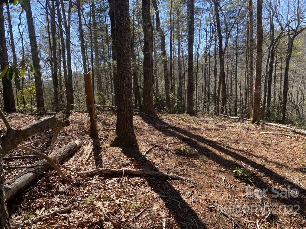 3199 High Shoals Road, Unit 14 Lenoir, NC 28645 - Photo 4 of 5 Gallery Image 4