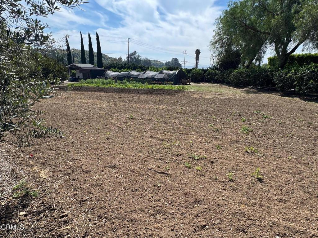 7907 Balcom Canyon Road Somis, CA 93066 - Photo 21 of 41 IMG_9594